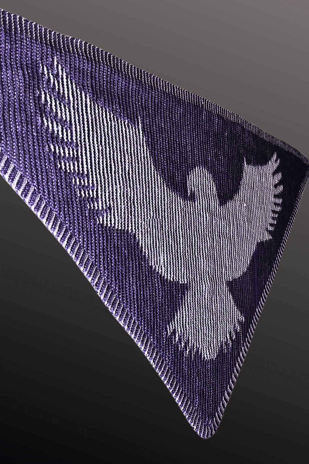 Schattenstrick Tuch Ashen Wings - Adler